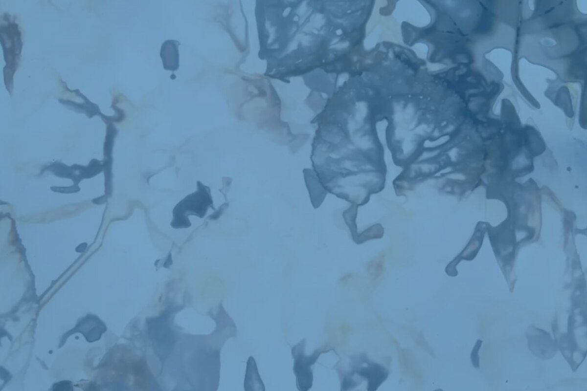 Michaela Davidová: The Metabolising Analogue